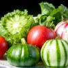 Пять суперувлажняющих продуктов: что есть в жару, чтобы избежать обезвоживания